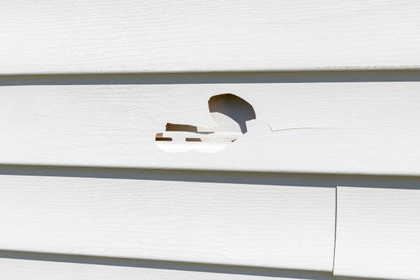 Best Siding Painting and Refinishing  in Dunstan, ME